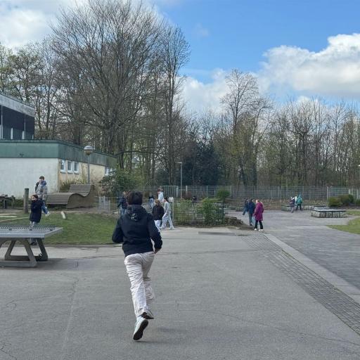 Image (5)