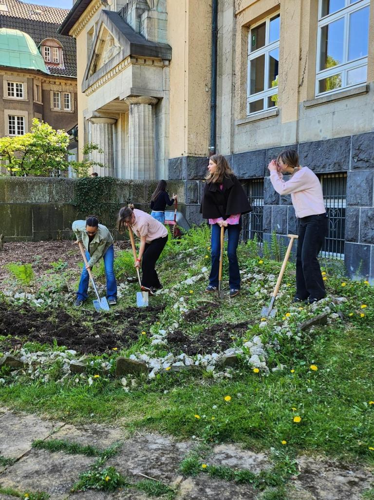 Medien (43)